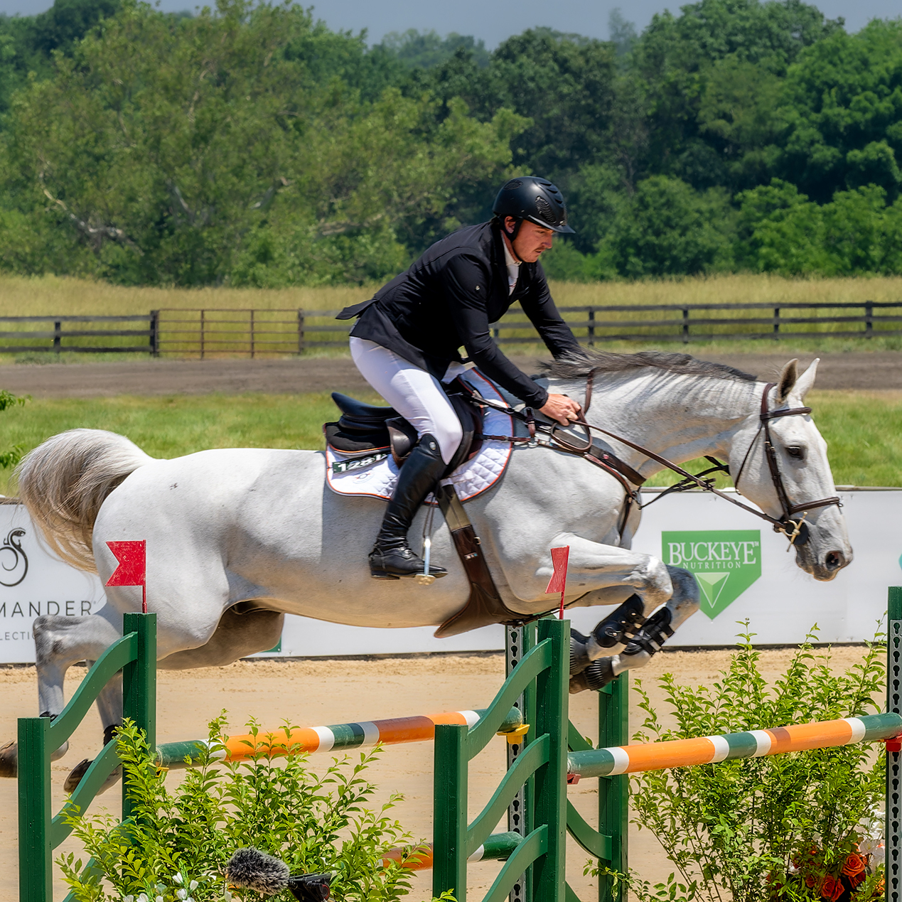 Equestrian